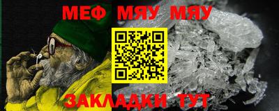 индика Камышлов