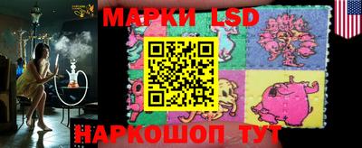 индика Камышлов