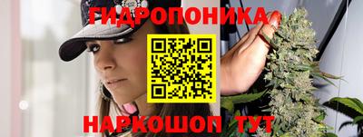 индика Камышлов