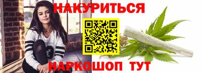 индика Камышлов